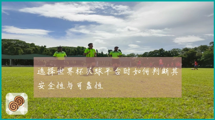选择世界杯买球平台时如何判断其安全性与可靠性